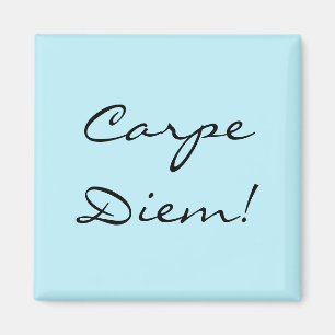 Carpe Diem magneet