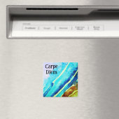 Carpe diem magneet (Insitu (Vaatwasser))