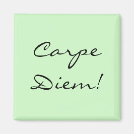 Carpe Diem magneet
