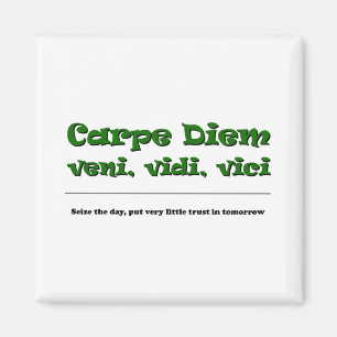 Carpe Diem Magneet