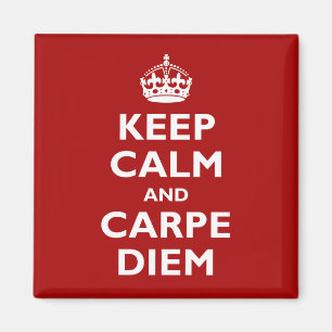 Carpe Diem! Magneet
