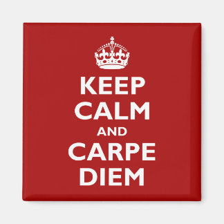 Carpe Diem! Magneet
