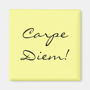 Carpe Diem magnet
