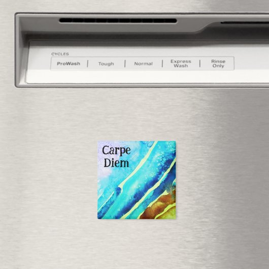 Carpe diem magnet (Insitu (Vaatwasser))