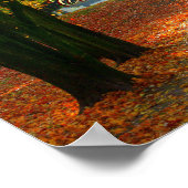  Carpe Diem met kleurrijk blad Poster (Hoek)