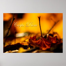  Carpe Diem met kleurrijk blad Poster
