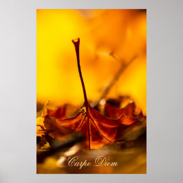  Carpe Diem met kleurrijk blad Poster
