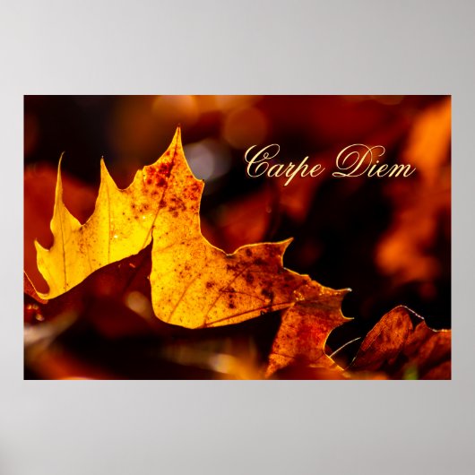 Carpe Diem met kleurrijk blad Poster (Voorkant)