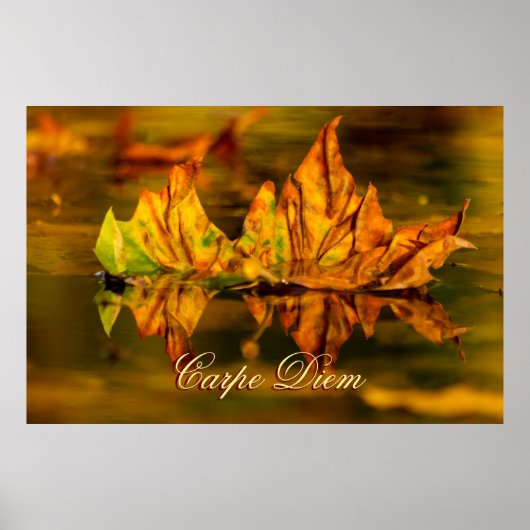 Carpe Diem met kleurrijke bladPoste Poster (Voorkant)