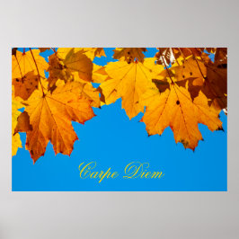 Carpe Diem met kleurrijke bladPoste Poster