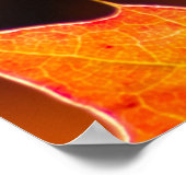 Carpe Diem met kleurrijke bladPoste Poster (Hoek)