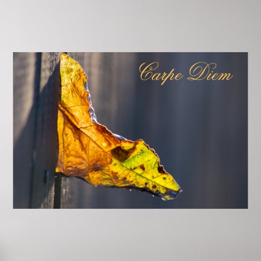  Carpe Diem met kleurrijke bladPoste Poster (Voorkant)