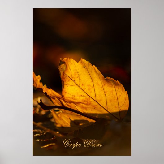  Carpe Diem met kleurrijke bladPoste Poster (Voorkant)