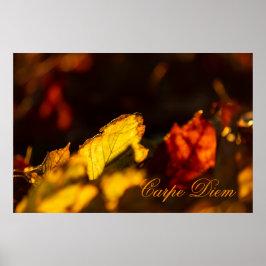 Carpe Diem met kleurrijke bladPoste Poster