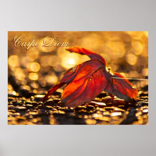  Carpe Diem met kleurrijke bladPoste Poster (Voorkant)