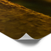  Carpe Diem met kleurrijke bladPoste Poster (Hoek)