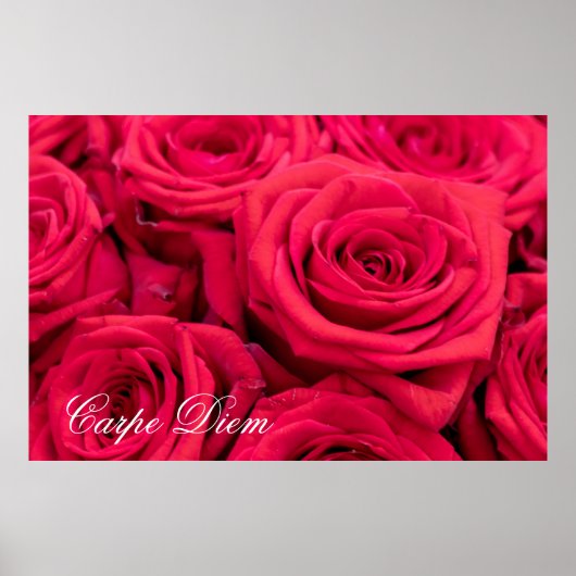 Carpe Diem met rood rozenPoster Poster (Voorkant)