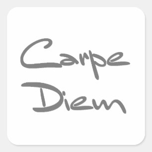 CARPE DIEM Moderne Cool Text Vierkante Sticker