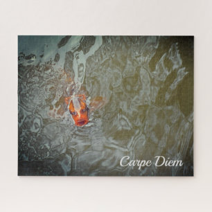 Carpe Diem Pond Fish Foto Legpuzzel