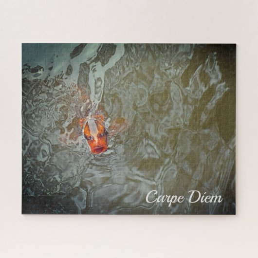 Carpe Diem Pond Fish Foto Legpuzzel (Horizontaal)