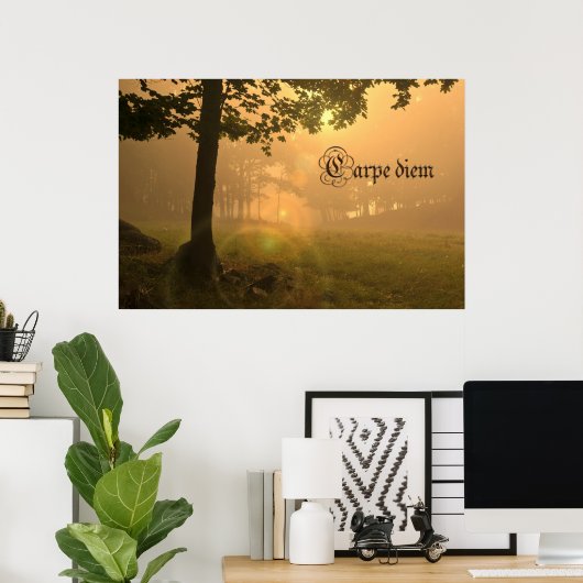 Carpe diem poster (Thuiskantoor)