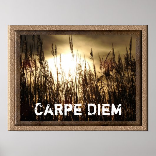 Carpe Diem - poster afdrukken (Voorkant)