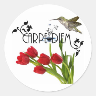 carpe diem ronde sticker