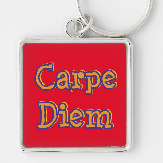 "CARPE DIEM/SEIZE DE DAG" BELANGRIJKSTE RAND/ SLEUTELHANGER (Voorkant)