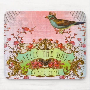 Carpe Diem Seize the Day Muismat