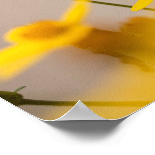 Carpe Diem Seize the Day Poster (Hoek)