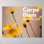 Carpe Diem Seize the Day Poster (Voorkant)