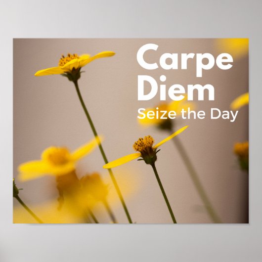 Carpe Diem Seize the Day Poster (Voorkant)