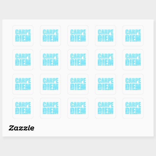 Carpe Diem Square Sticker (Vel)