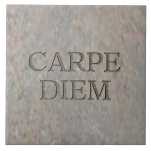 Carpe Diem Stone grote tegel Tegeltje