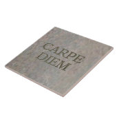 Carpe Diem Stone grote tegel Tegeltje (Zijkant)