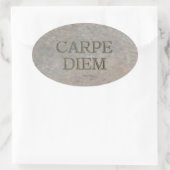 Carpe Diem Stone ovale grote stickers (Tas)