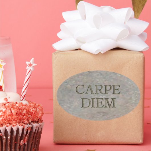 Carpe Diem Stone ovale grote stickers (Feest)