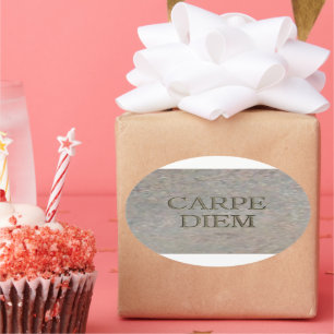 Carpe Diem Stone ovale grote stickers