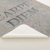Carpe Diem Stone sherpa deken (3/4)