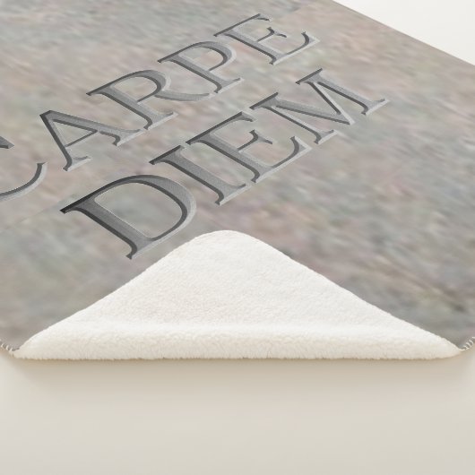 Carpe Diem Stone sherpa deken (3/4)