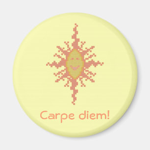 Carpe diem. Sunburst Magnet