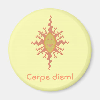 Carpe diem. Sunburst Magnet