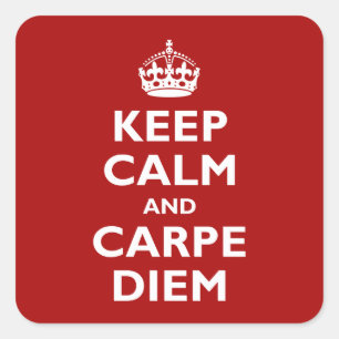 Carpe Diem! Vierkante Sticker