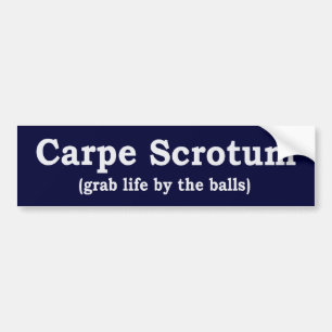 Carpe Scrotum Bumpersticker