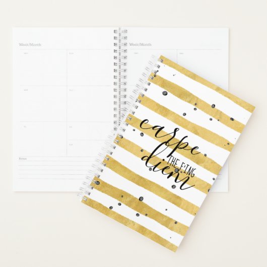 Carpe the fing Diem Calendar Planner (Display)
