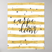 Carpe the f'ing Diem Poster (Voorkant)
