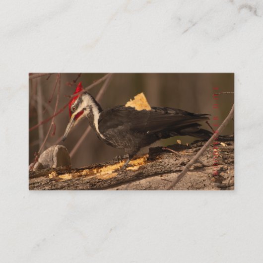 Carpenter, houtweddenwerker, kabinetsmachine met t visitekaartje (Voorkant)