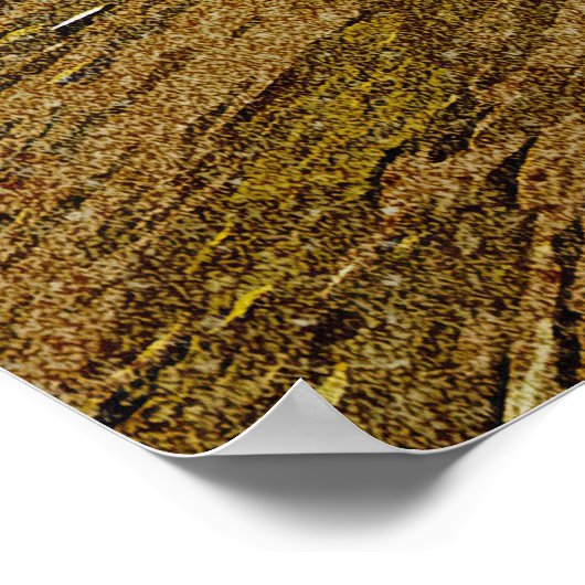 Carpinteria Beach Poster (Hoek)