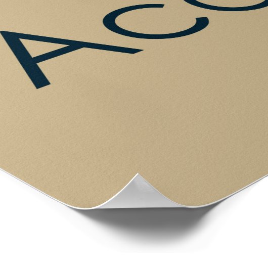 Carpinteria Triathlon Poster 2013 (Hoek)