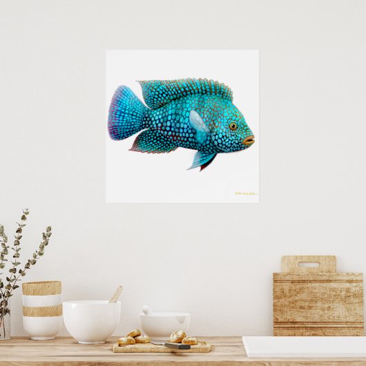 Carpintis Texas Cichlid Poster (Keuken)